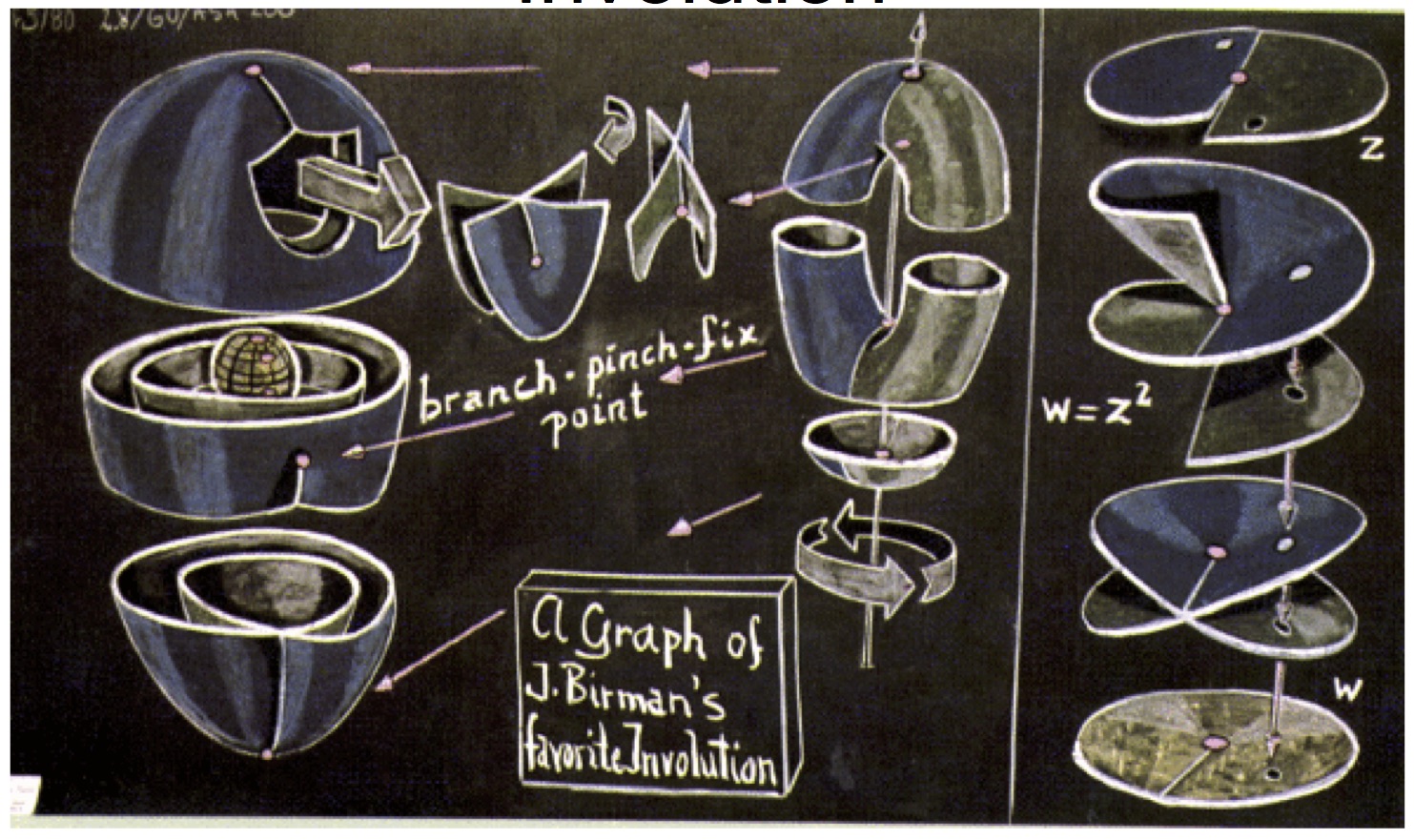 Birman's favorite involution