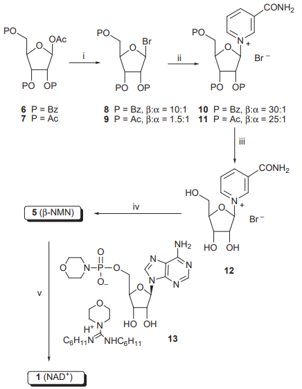 Chemical synthesis of NAD+