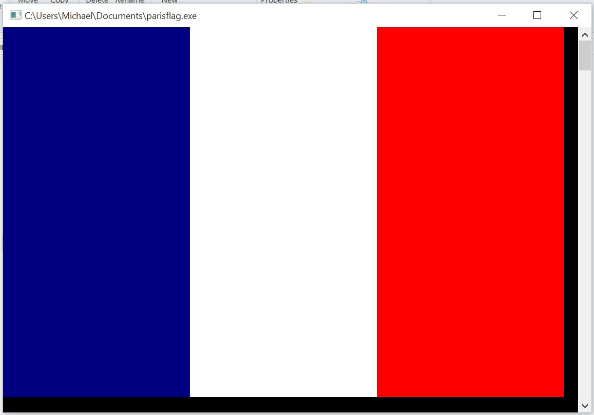 Paris Flag