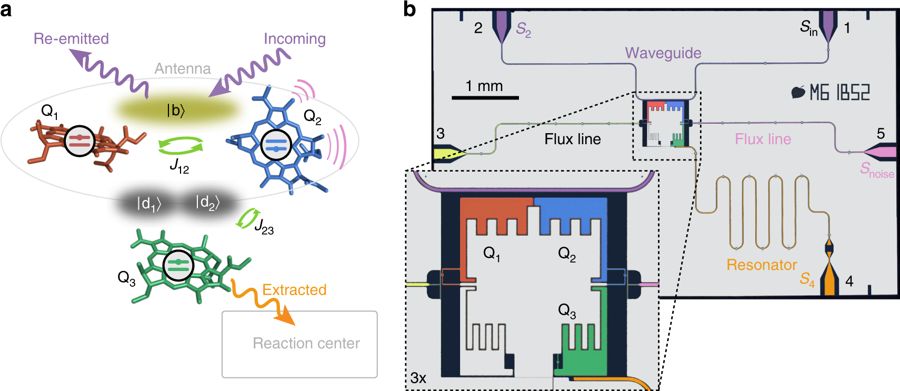 Figure from the paper by Potočnik et al. 2018