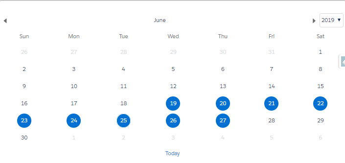 Custom Date Range Picker