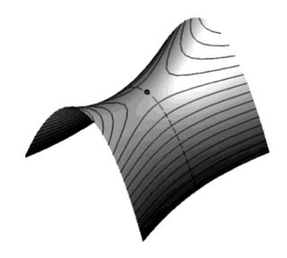 saddle point