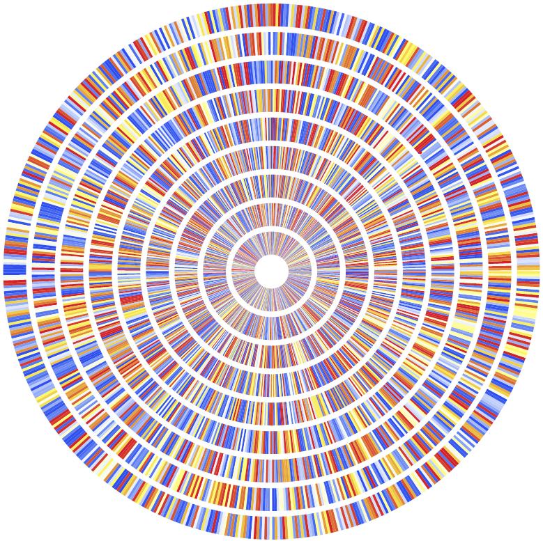 Radial distribution M/N