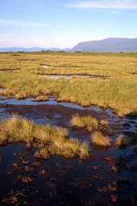 Bogs in Iceland that contain Iron