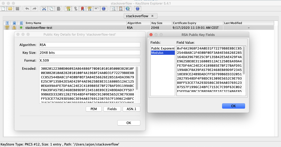 Screenshot of modulus in Keystore Explorer