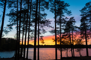 A lake near Perkjärv- sarge-borsch