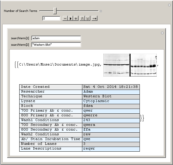 Search multiple images' metainformation and import the one with matching terms