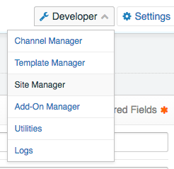 You should now have a new option called site manager