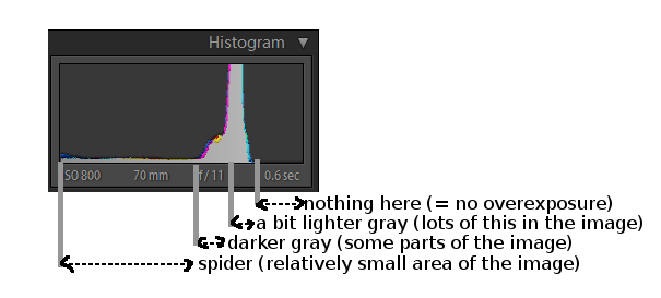 histogram w/ description