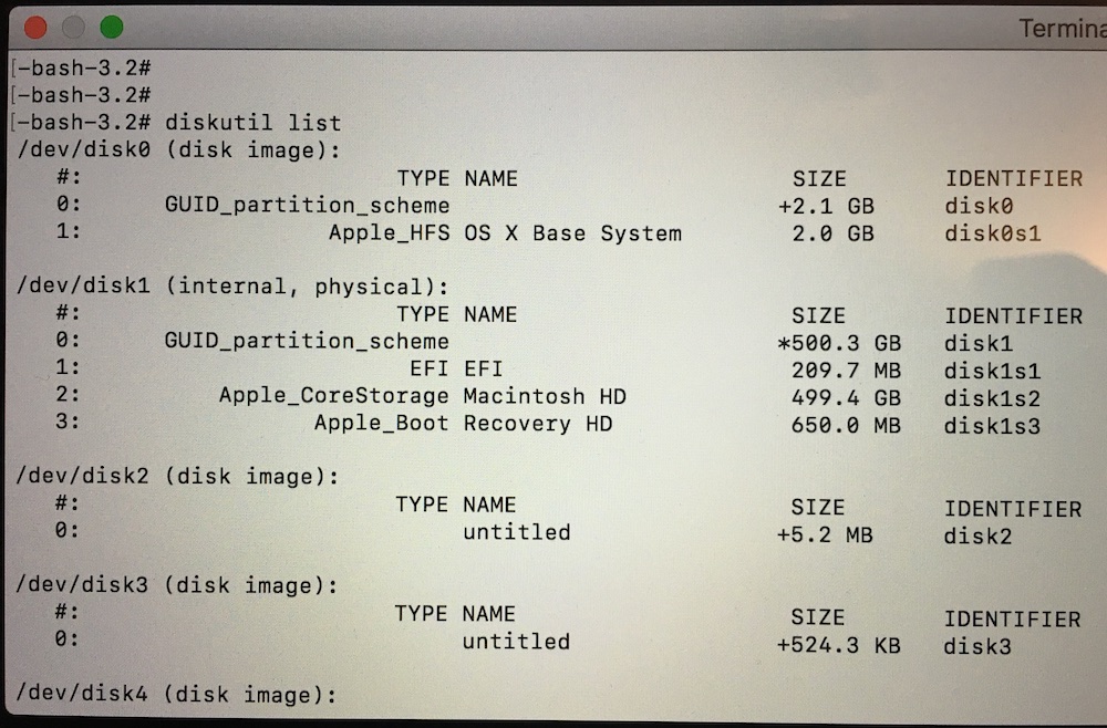 result of diskutil list