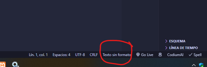 opción texto sin formato