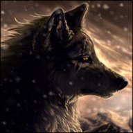 Wolf's user avatar