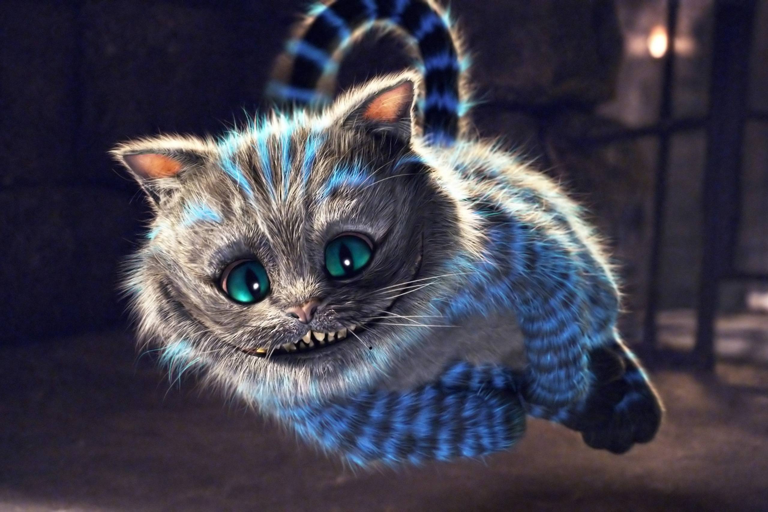 Cheshire Cat's user avatar