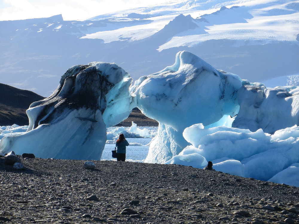 two hunks of ice in roughly animal shapes which seem to rest nose to nose