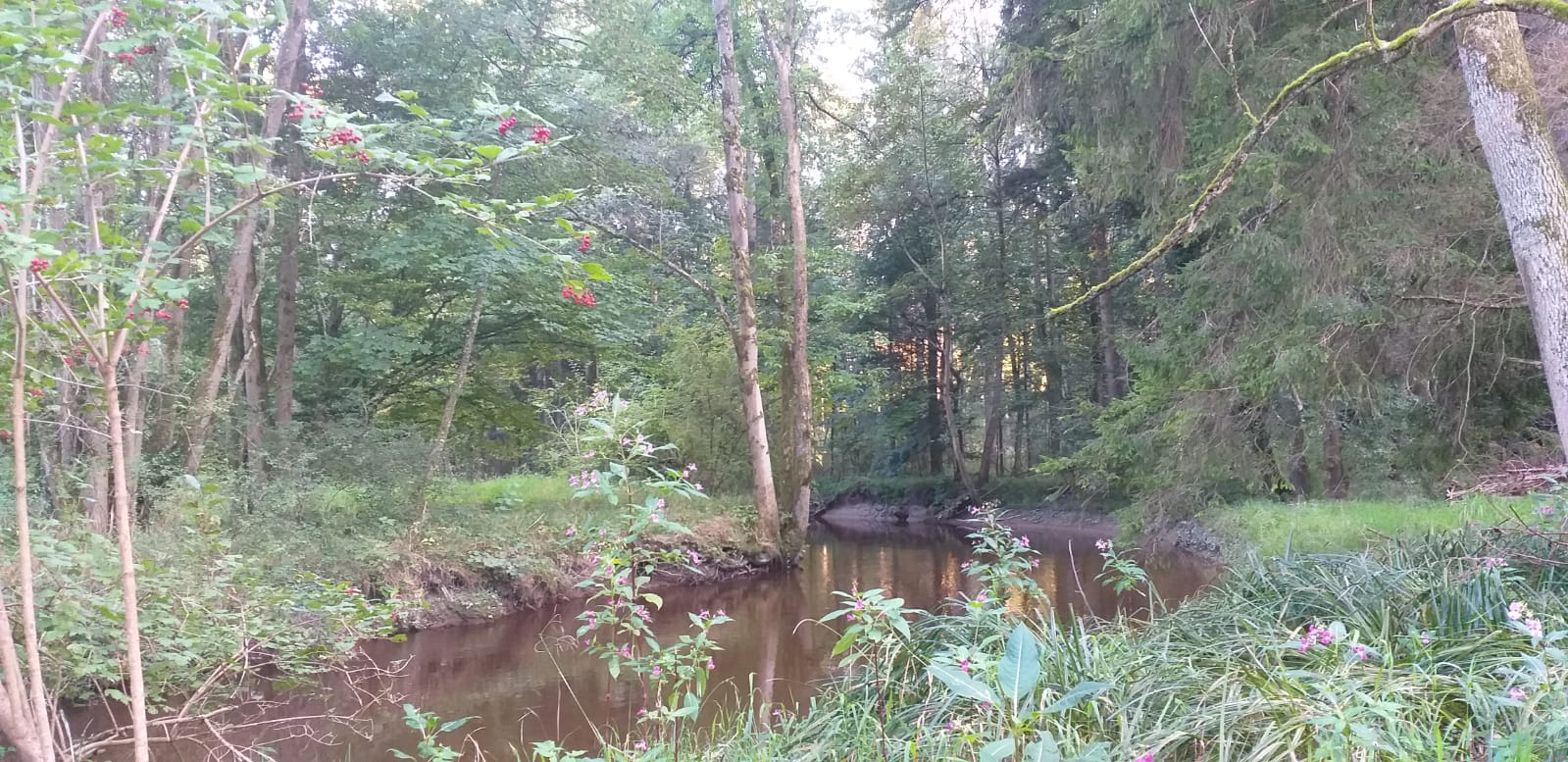 Picture of The Kalten. A stream near by my flat.