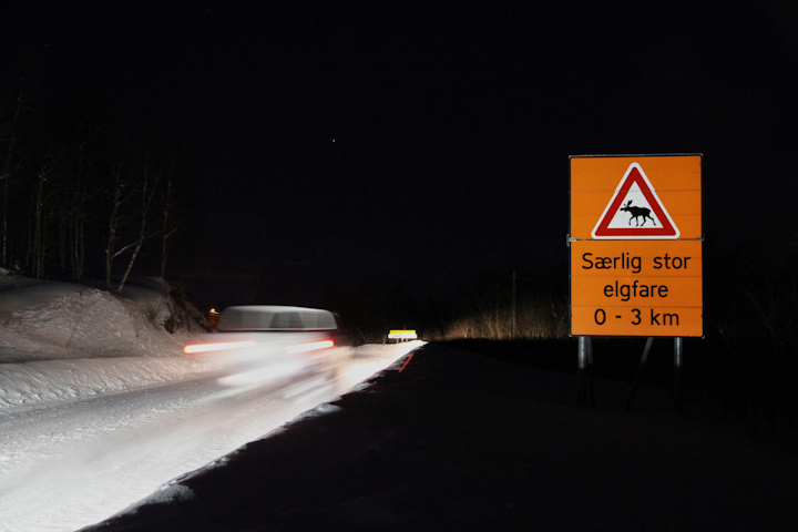 Særlig stor elfgare