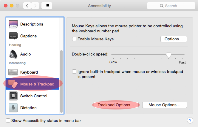 Select Mouse & Trackpad in the accessibility pane of the system preferences and enter the Trackpad Options