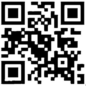 Complete QR code extracted