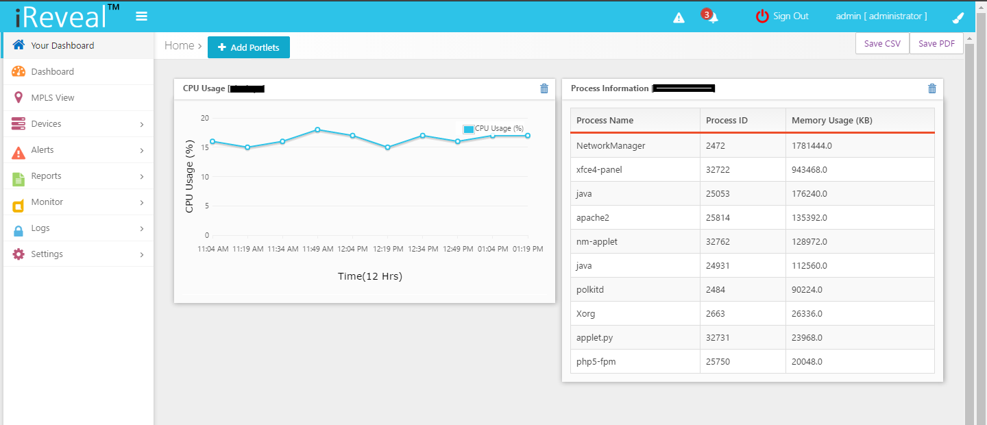 CPU Usage and Process Information Custom Report Screenshot