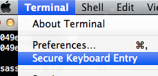 Secure Keyboard Entry in Terminal