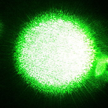 Laser speckle on a digital camera image from a green laser pointer.