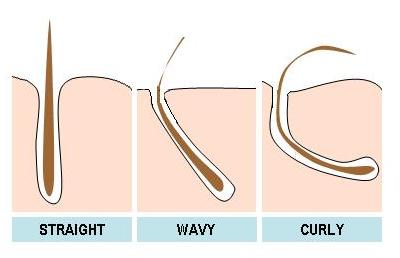 effect of follicle tunneling into scalp