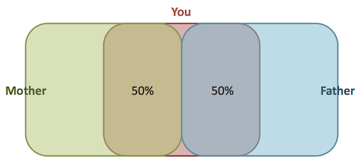 Shared alleles between your parents and you