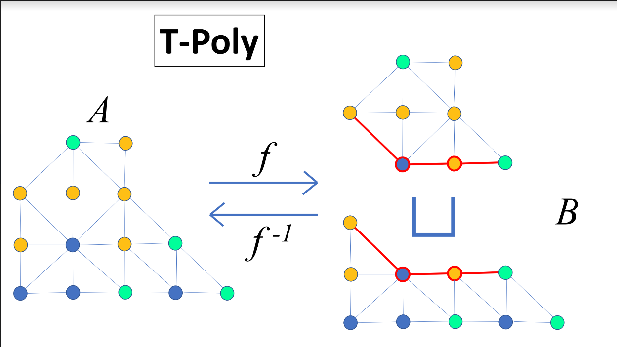 T-Poly category