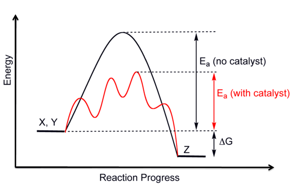 Activation energy with and without catalysts