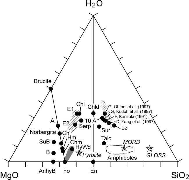 Water-bearing minerals of the mantle.