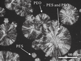 crystalline growth seen through polarized optical microscopy