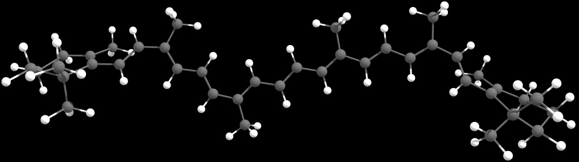 beta-carotene.xyz