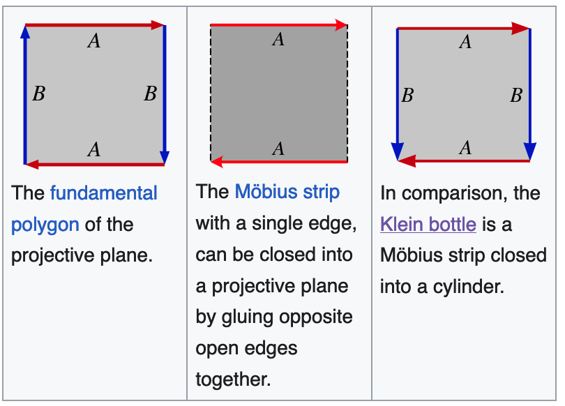 fundamental polygons