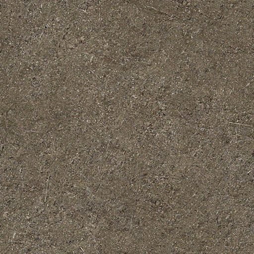 dirt texture