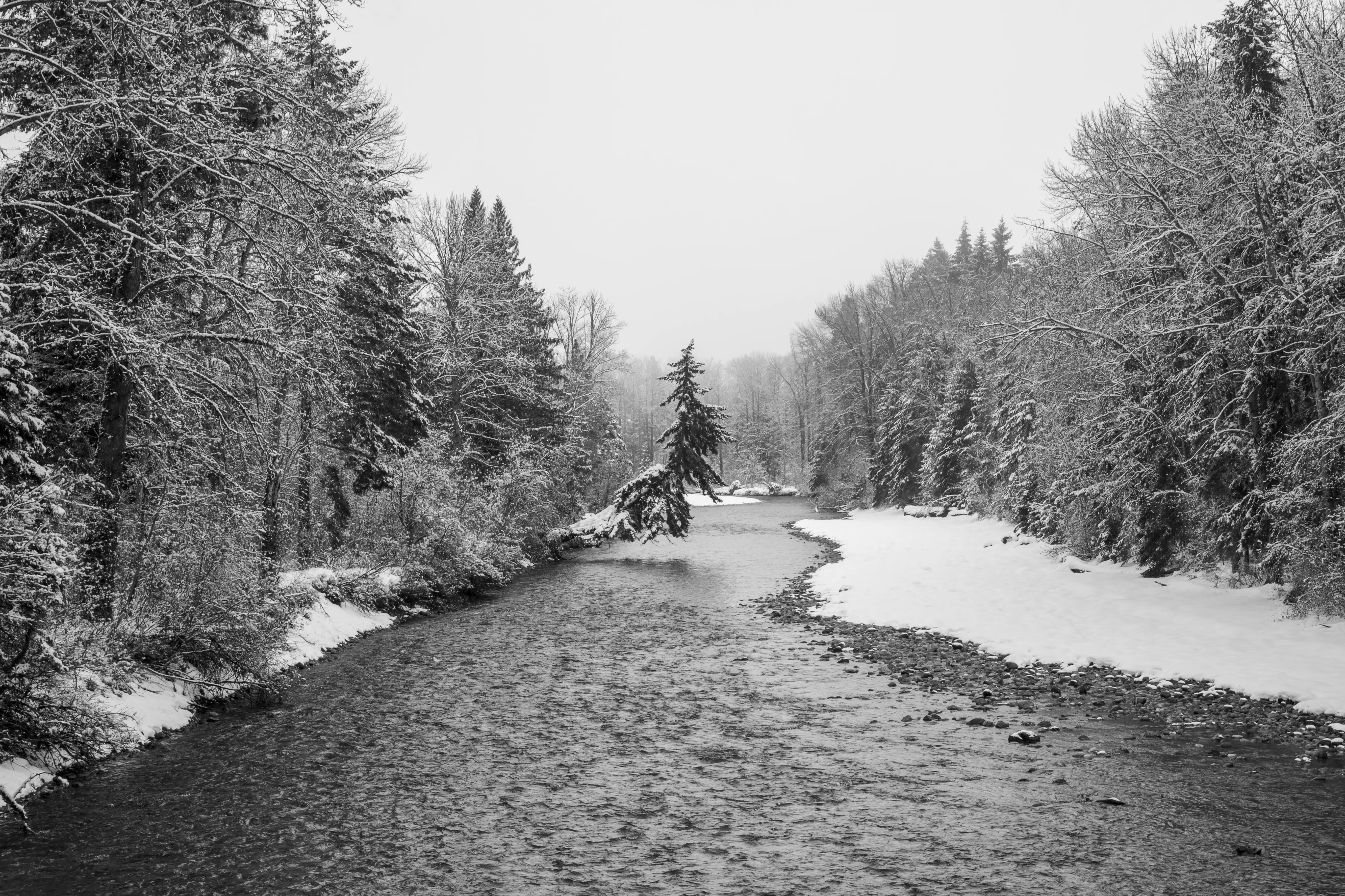 Photo of a snowy river surrounded by trees