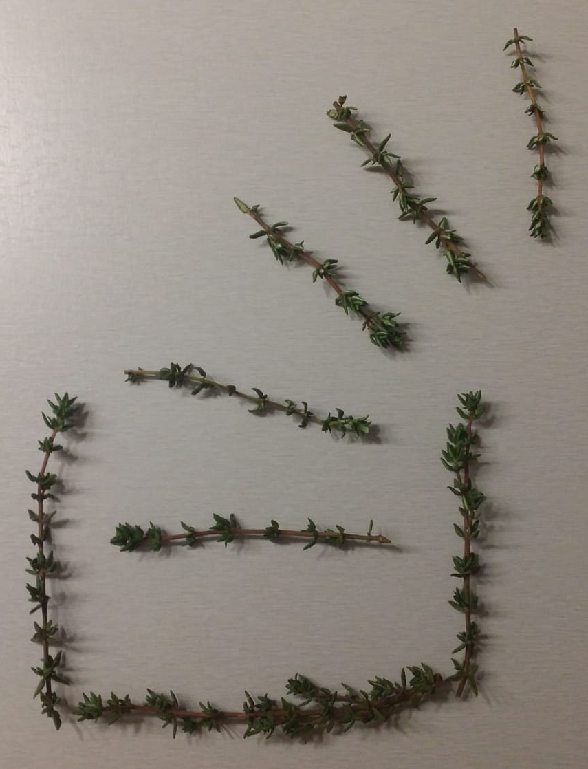 Thyme