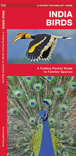 Folded India Bird Guide Front