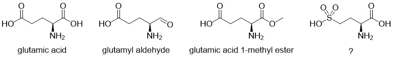 Glutamic acid, glutamyl aldehyde, glutamic acid 1-methyl ester, and (blank!)