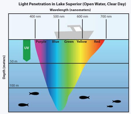 Blue light penetrates water better than other colors