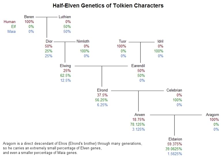 The Half-Elven line