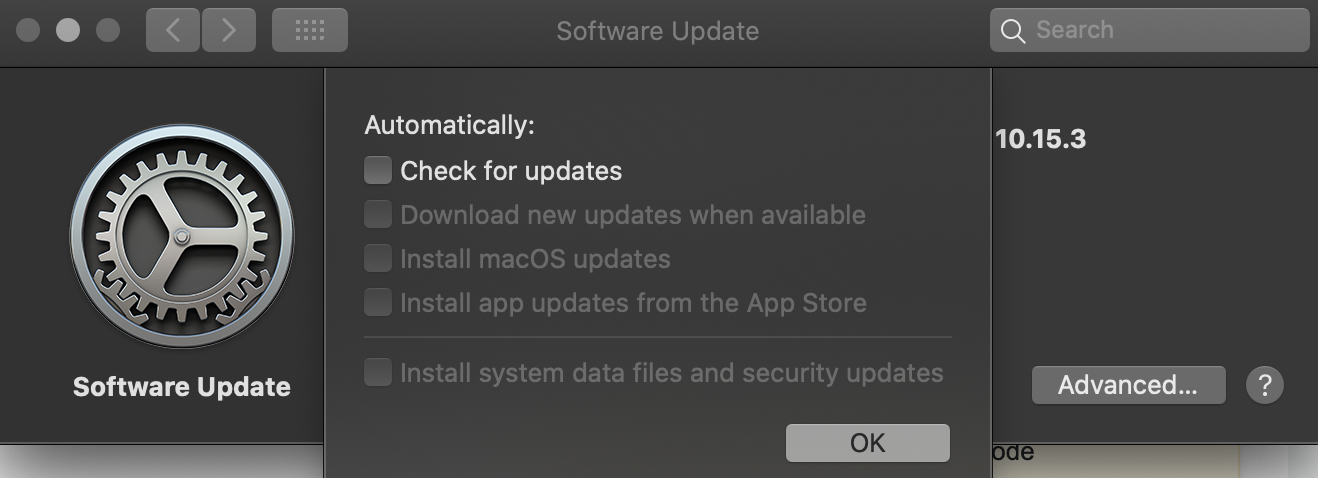 Screenshot of the Software Update System Preference pane showing updates are disabled automatically.