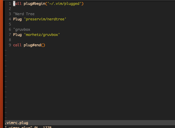 that is the vimrc.plug file