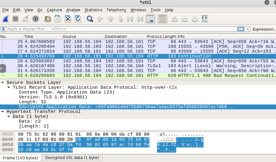 wireshark capture of the traffic