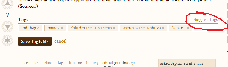 (A "Suggest Tags" link above the area in which one types tags.)