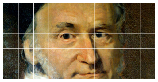 Image of Gauss divided into square tiles