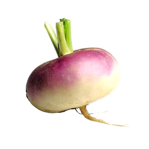 Turnip