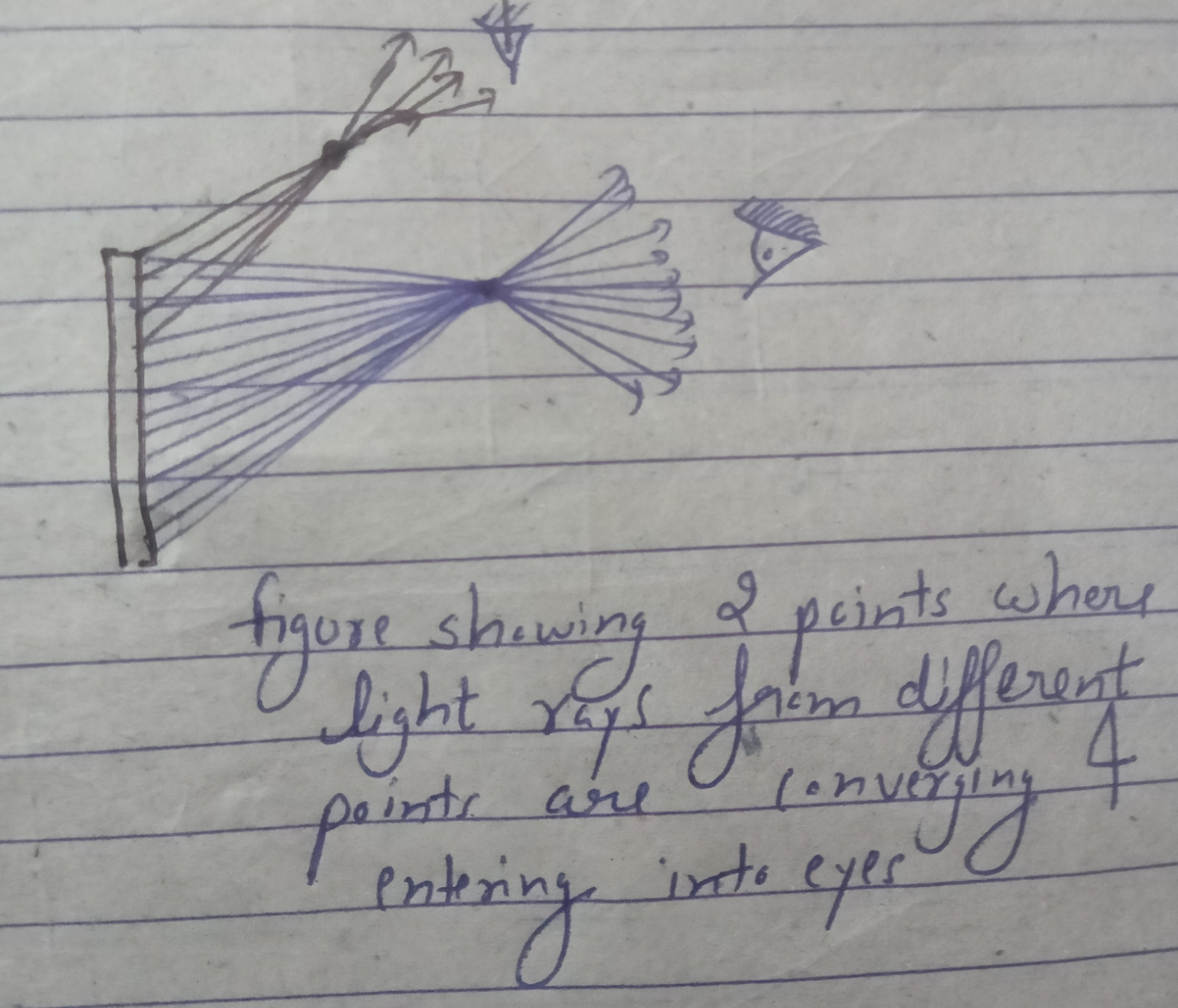 figure showing two points where incident rays from different points are intersecting and entering into eyes 