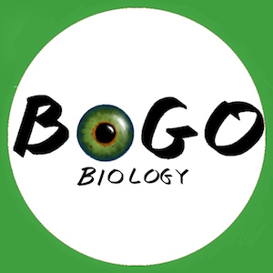 BOGObiology's user avatar