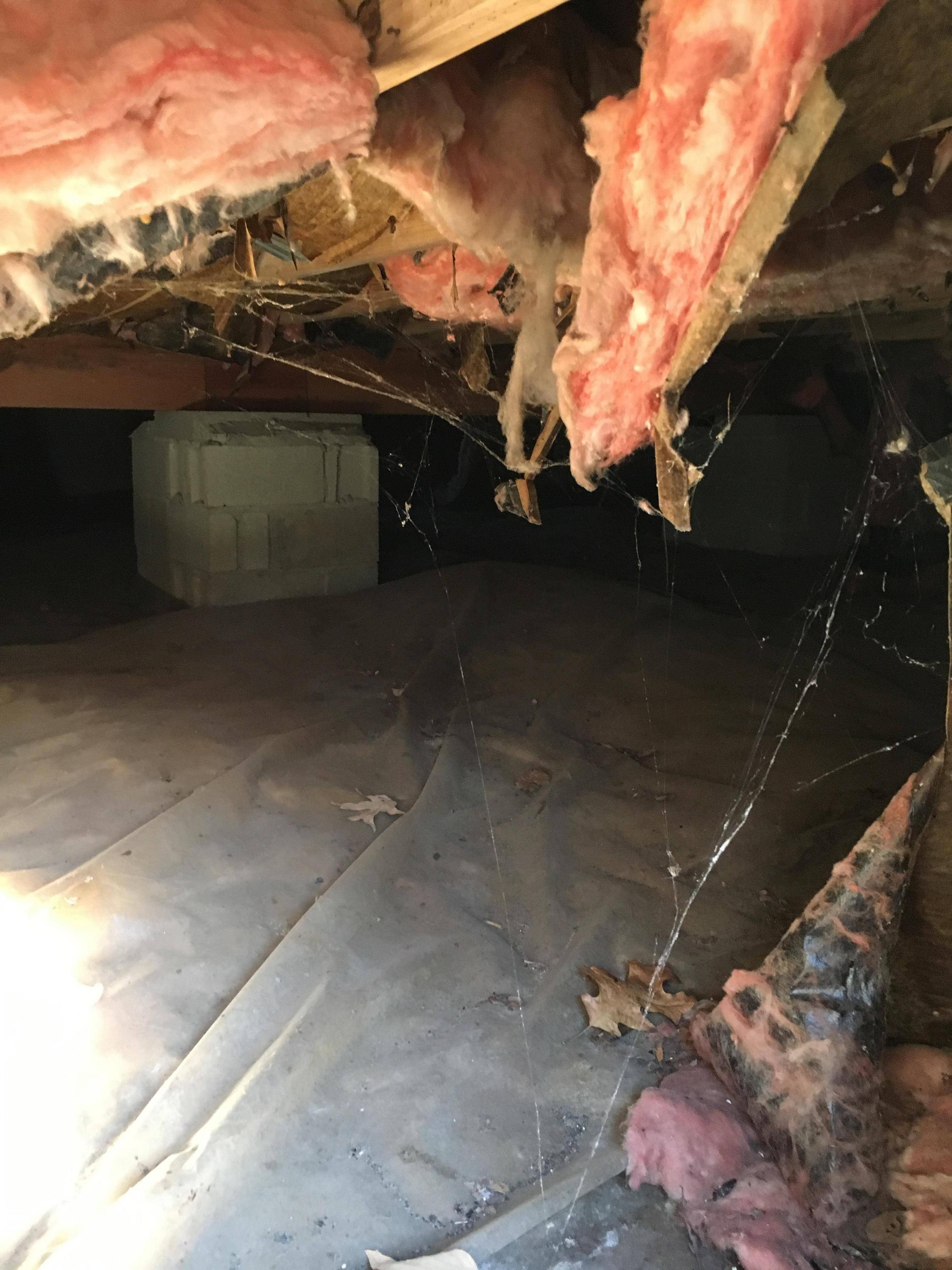 My decrepit and creepy crawlspace