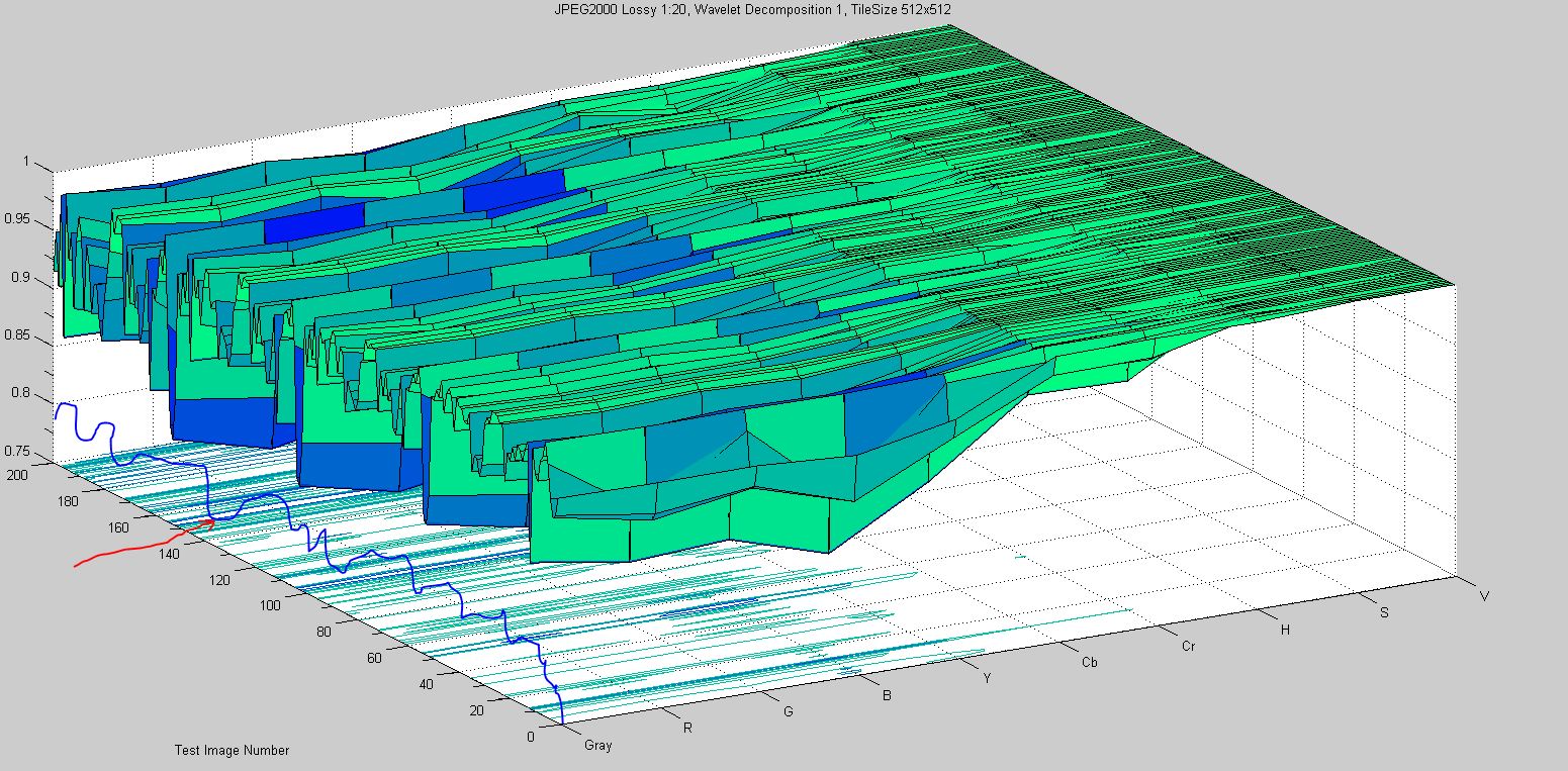 Surface Plot